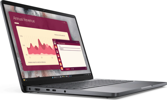 Dell Pro - Notebook - 14